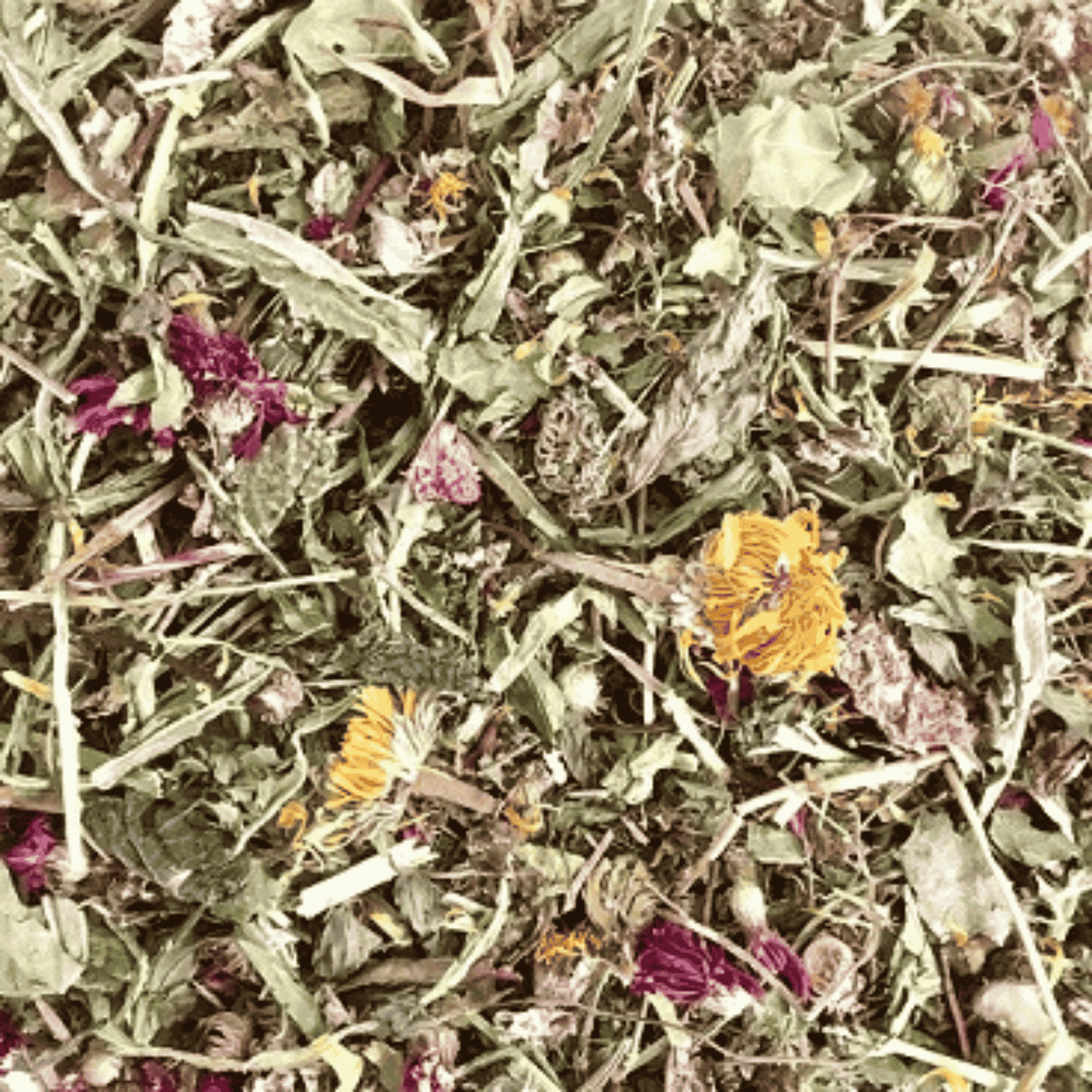 Healthy Herb & Flower Blend - Twigs & Burrows