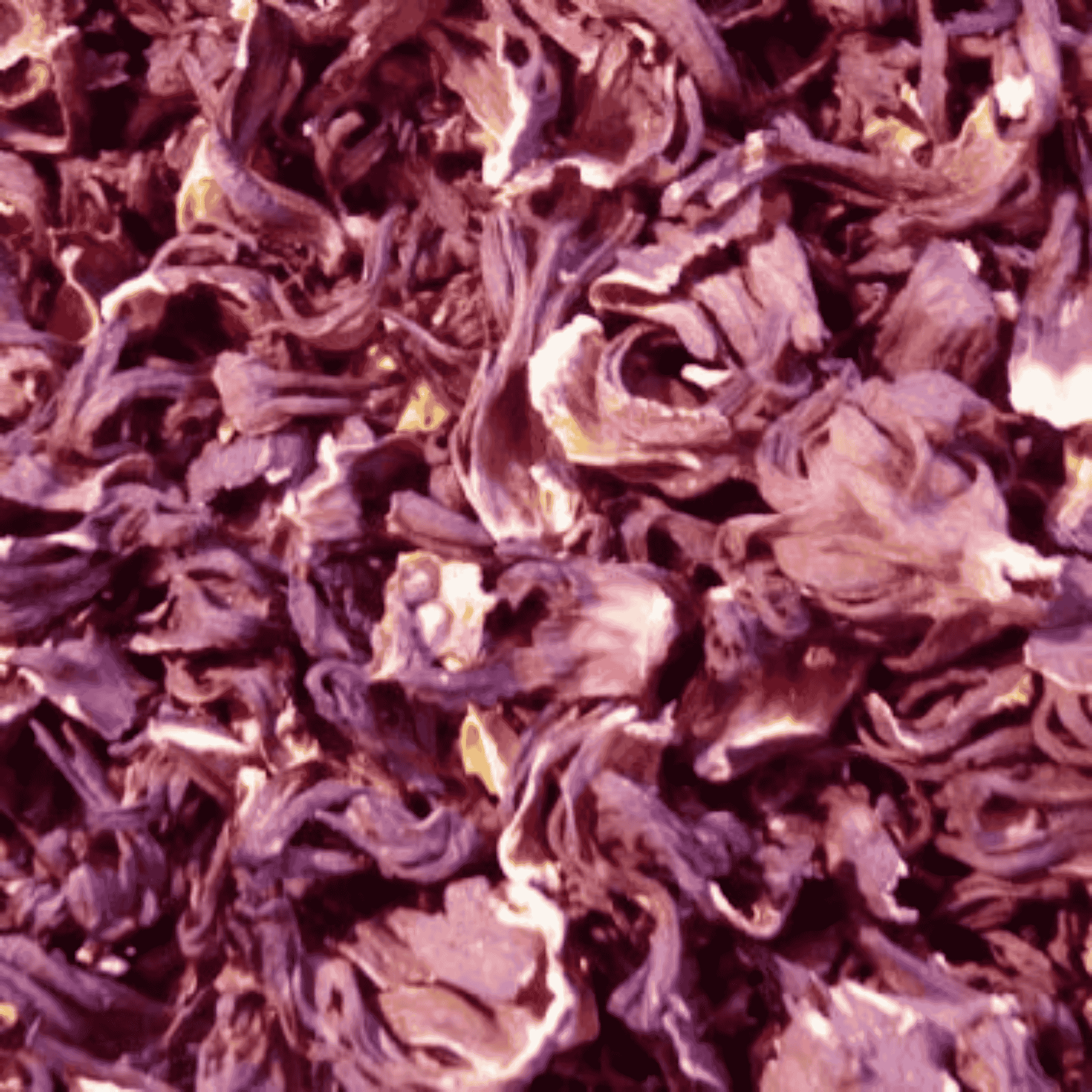 Hibiscus Flowers - Twigs & Burrows