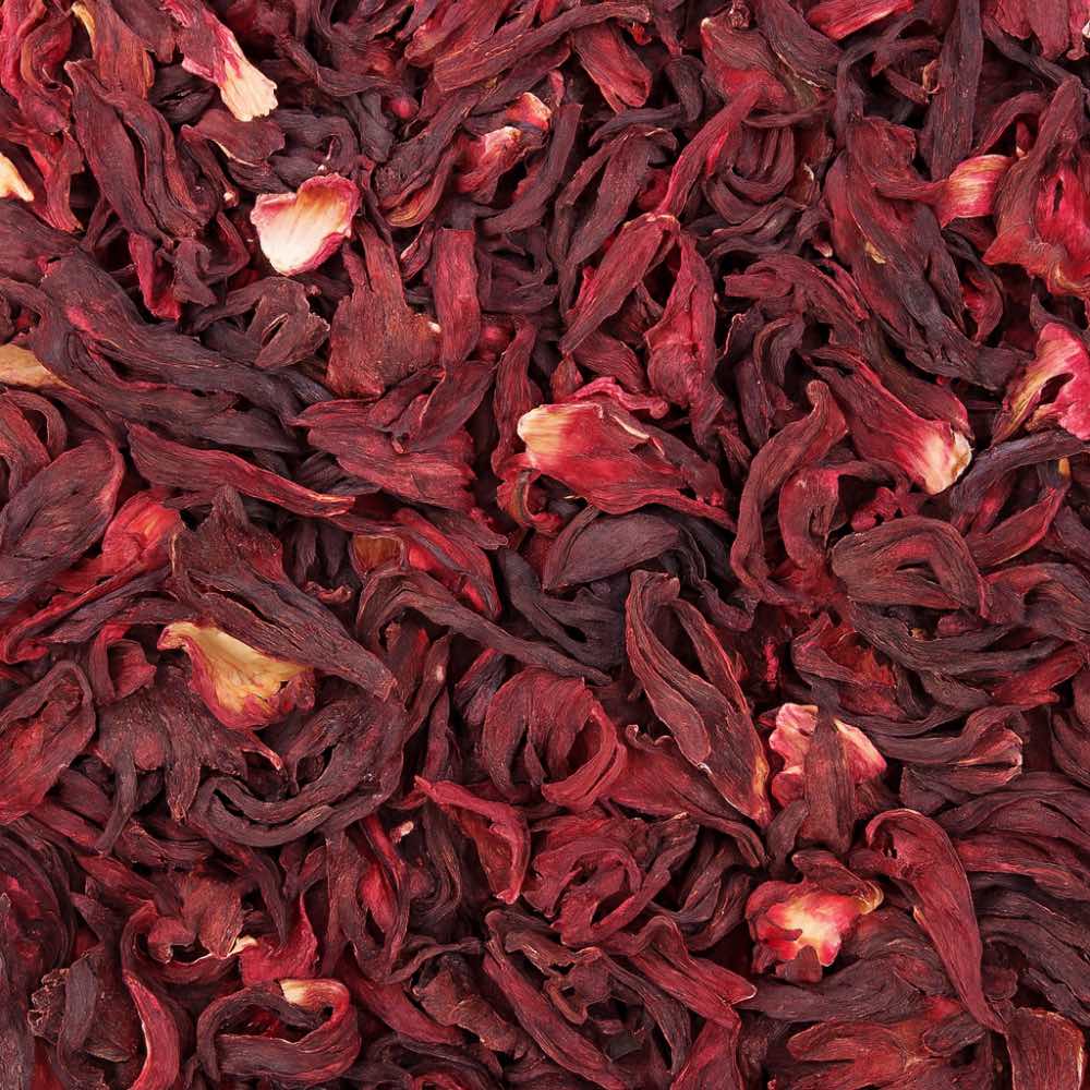 Hibiscus Flowers - Twigs & Burrows