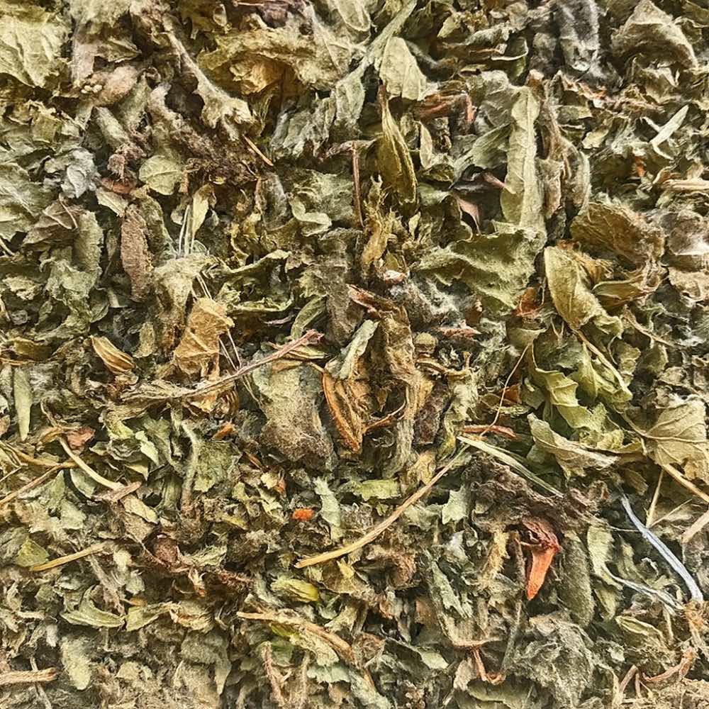 Lemon Balm (Cut) - Twigs & Burrows
