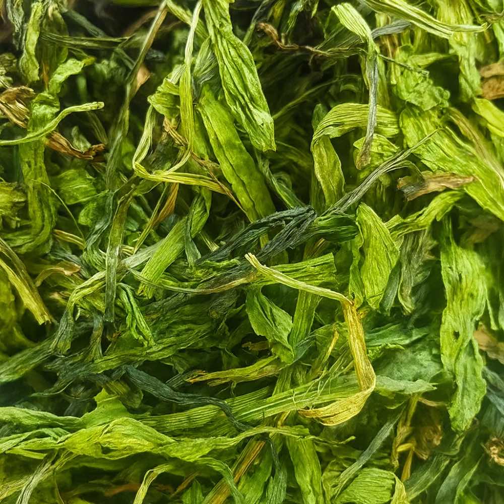 Plantain Leaves - Twigs & Burrows