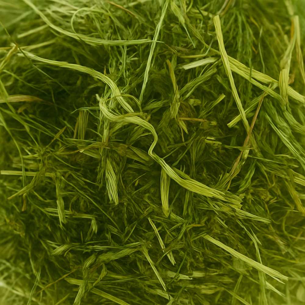 Readigrass - Twigs & Burrows