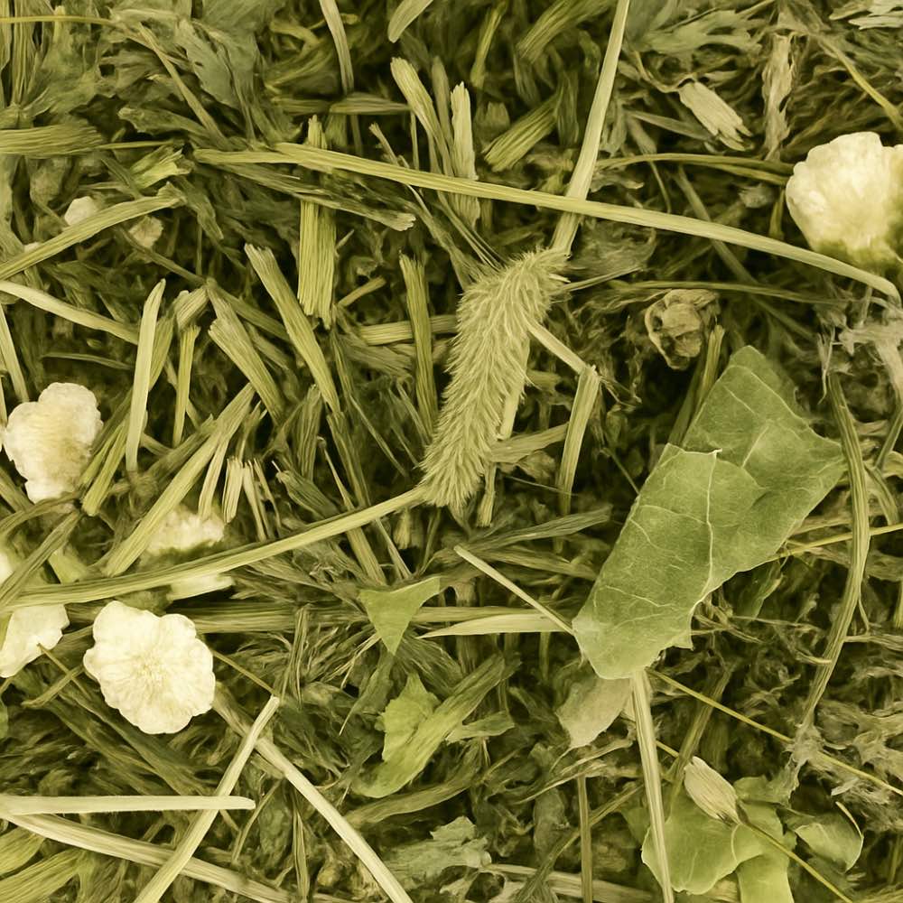 Spicy Hay Mix - Twigs & Burrows