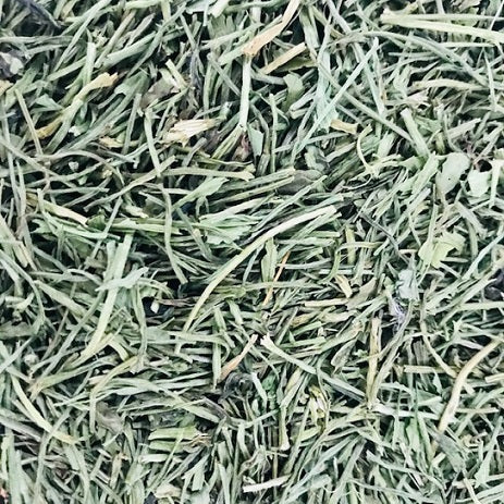 Coriander Stalks