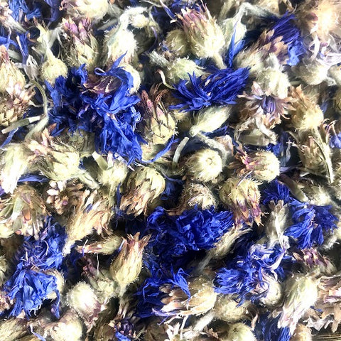 Cornflowers Blue