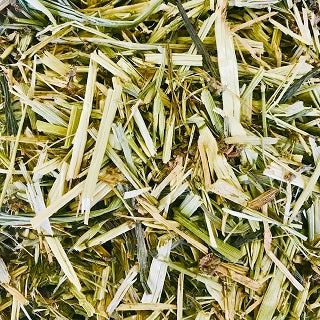 Green Oat Hay