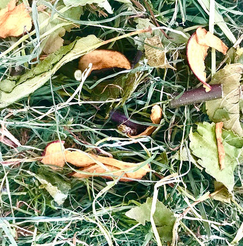 Orchard grass mixed with apple leaves, apple twigs and dried apple slices