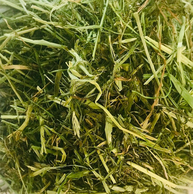 Readigrass – Dried Grass for Rabbits | Twigs & Burrows