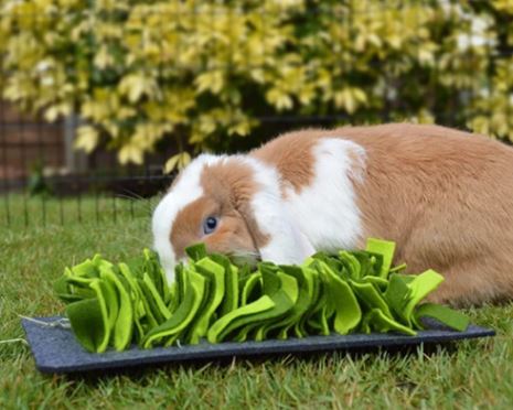 Snuffle Forage Mat