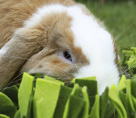 Snuffle Forage Mat