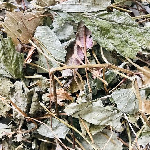 Strawberry Leaves