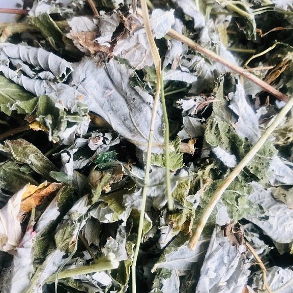 Raspberry Leaves - Twigs & Burrows